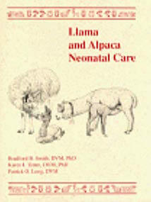 Llama and Alpaca Neonatal Care