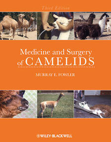 Medical and Surgery of Camelids