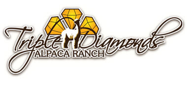Triple Diamond Alpaca Ranch Logo